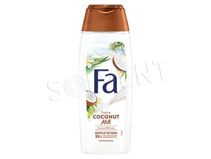 Fa SG 250ml Coconut Milk