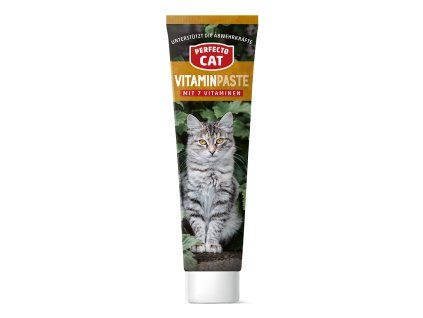 Perfecto Cat vitamínová pasta 100g