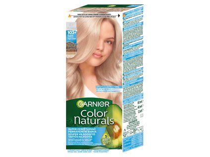 Garnier CN 102 Frosty Silver