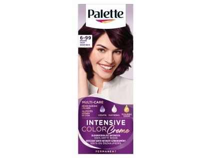 PALETTE ICC Chladná stříbrná blond 10-19