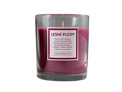 Q Home svíčka 125g lesní plody