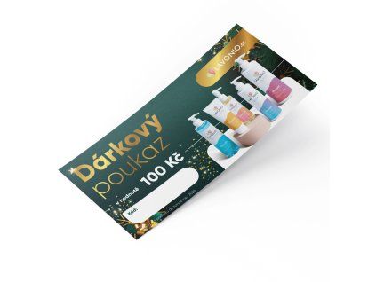 voucher vanocni 100