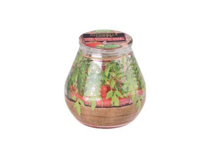 Citronela vonná svíčka ve skle design cherry rajčátka 90x94 mm