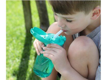 Sistema Láhev s brčkem Hydrate Quick Flip Top 520 ml, mátová