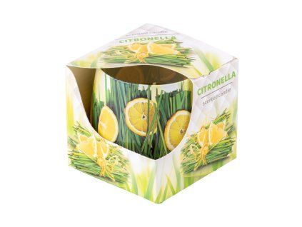 Vonná svíčka ve skle dekorační v krabičce, Citronella 75x75mm