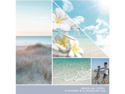 YANKEE CANDLE VOTIVNÍ SVÍČKA PLNĚNÁ VE SKLE OCEAN AIR