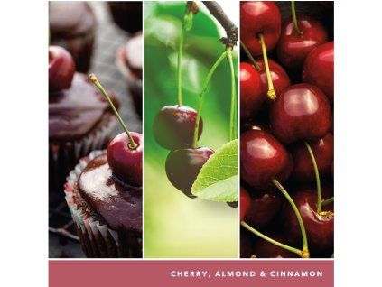 YANKEE CANDLE BLACK CHERRY SIGNATURE VELKÝ