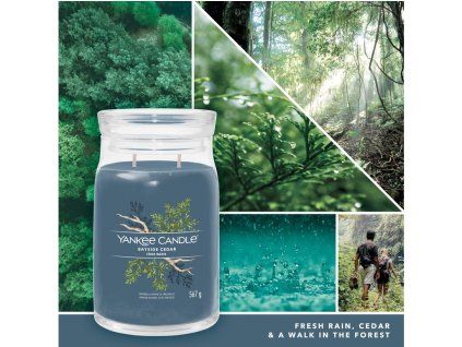 YANKEE CANDLE BAYSIDE CEDAR SIGNATURE VELKÝ