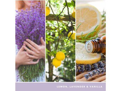 YANKEE CANDLE LEMON LAVENDER SIGNATURE STŘEDNÍ
