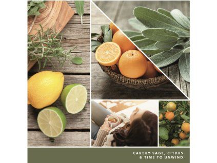 YANKEE CANDLE SAGE & CITRUS SIGNATURE VELKÝ
