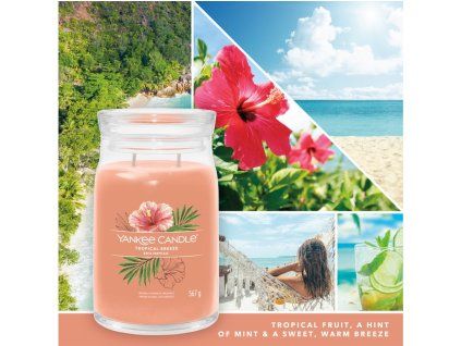 YANKEE CANDLE TROPICAL BREEZE SIGNATURE VELKÝ