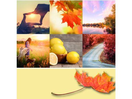 YANKEE CANDLE AUTUMN SUNSET SIGNATURE STŘEDNÍ