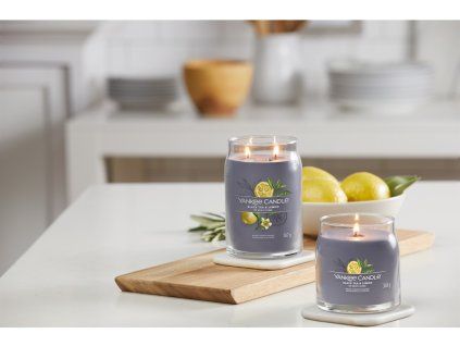 YANKEE CANDLE BLACK TEA & LEMON SIGNATURE STŘEDNÍ