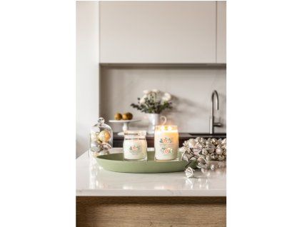 YANKEE CANDLE WHITE SPRUCE & GRAPEFRUIT SIGNATURE STŘEDNÍ