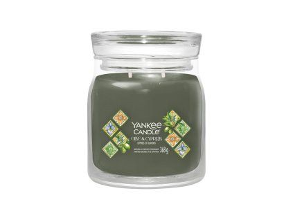 YANKEE CANDLE OLIVE & CYPRESS SIGNATURE STŘEDNÍ