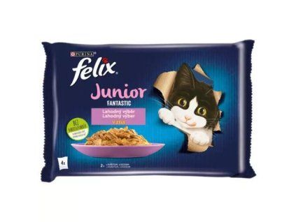 Felix Fantastic kapsička mp junior kuře +losos @4x85g