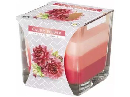 Bispol svíčka cactus flower 170g