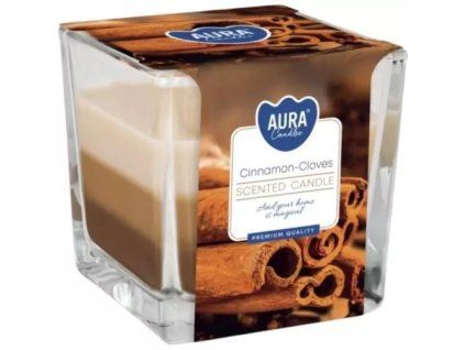 Bispol svíčka cinnamon - cloves 170g