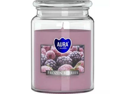 Bispol svíčka frozen berries 500g