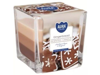 Bispol svíčka gingerbread 170g
