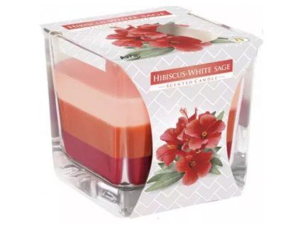Bispol svíčka hibiscus white sage snk80-356 170g