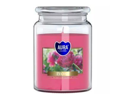 Bispol svíčka penony 500g