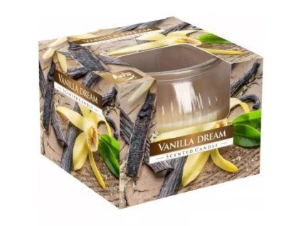 Bispol svíčka vanilla dream 80g
