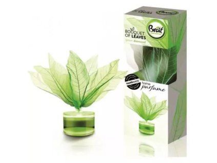 Brait dekorativní difuzér 50ml Leaves Green Diamond