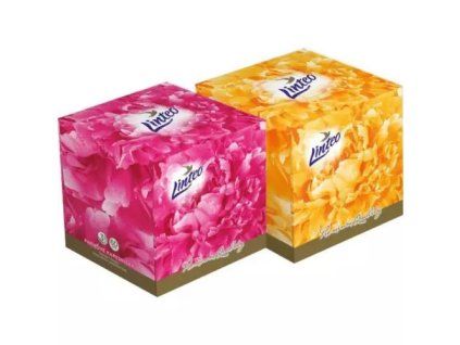 Linteo Premium kapesníky v krabičce 60ks 3V