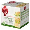 TEEKANNE čaj (10ks/kra) nachlazení+zázv