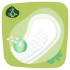 Naturella intimky Cam (52ks/kra) Light
