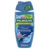 Palmolive SG 250ml Wellness Massage