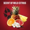 Old Spice Deo stick 50ml WolfThorn