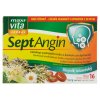 Maxi Vita SeptAngin(16ks/kra) Isl lišej