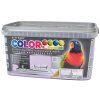 Colorline 4kg barevný levandulová 10