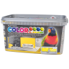 Colorline 4kg barevný slunečnice 05