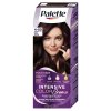 PALETTE ICC INTENZIVNÍ TMAVĚ FIALOVÝ 4-89 RFE3