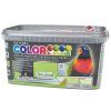 Colorline 4kg barevný pistácie 22
