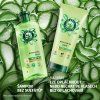 Herbal Essences kondicionér 96% Natural origin Aloe 250ml