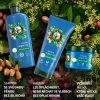 Herbal Essences šampon 96% Natural origin Argan Oil 350ml