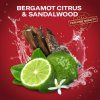 OLD SPICE Deo stick Restart 50 ml