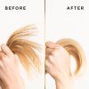 Pantene Kond 160ml Biot&Baobab Essences