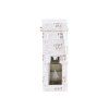 Emocio Diffuser Gingerbread, 100ml + vonná stébla