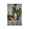 Bolsius Diffuser True Joy Oriental Softness 80ml + vonná stébla