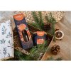 Bolsius Diffuser True Joy Secret Forest 80ml + vonná stébla