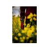 Contigo Termohrnek West Loop 470 ml, Red