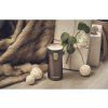 Contigo Termohrnek Pinnacle 300 ml, Transparent Matte Latte