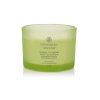 VONNÁ SVÍČKA CHESAPEAKE BAY CANDLE AWAKEN & INVIGORATE 3 KNOTY