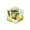 Vonná svíčka ve skle dekorační v krabičce, Citronella 75x75mm