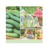 YANKEE CANDLE CUCUMBER MINT COOLER SIGNATURE VELKÝ